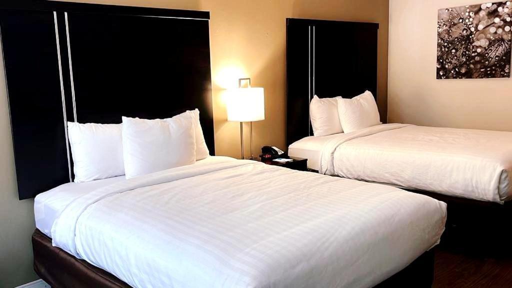 Clarion Inn & Suites Florence Dış mekan fotoğraf