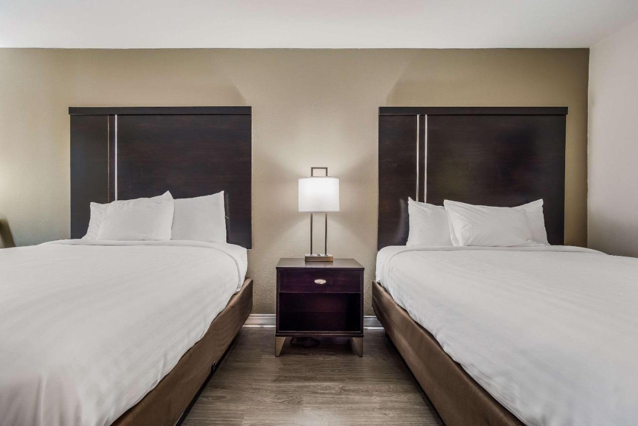 Clarion Inn & Suites Florence Dış mekan fotoğraf